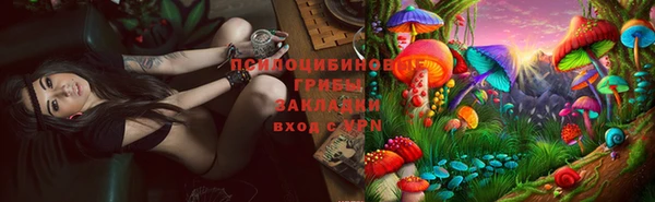 2c-b Аркадак