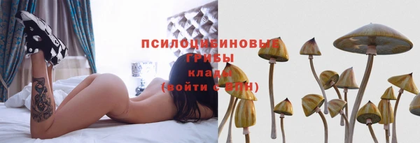 ECSTASY Армянск