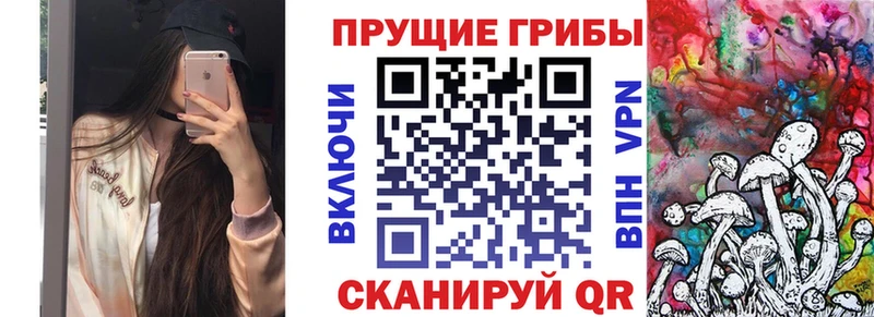 Галлюциногенные грибы Cubensis Купить где Осташков
